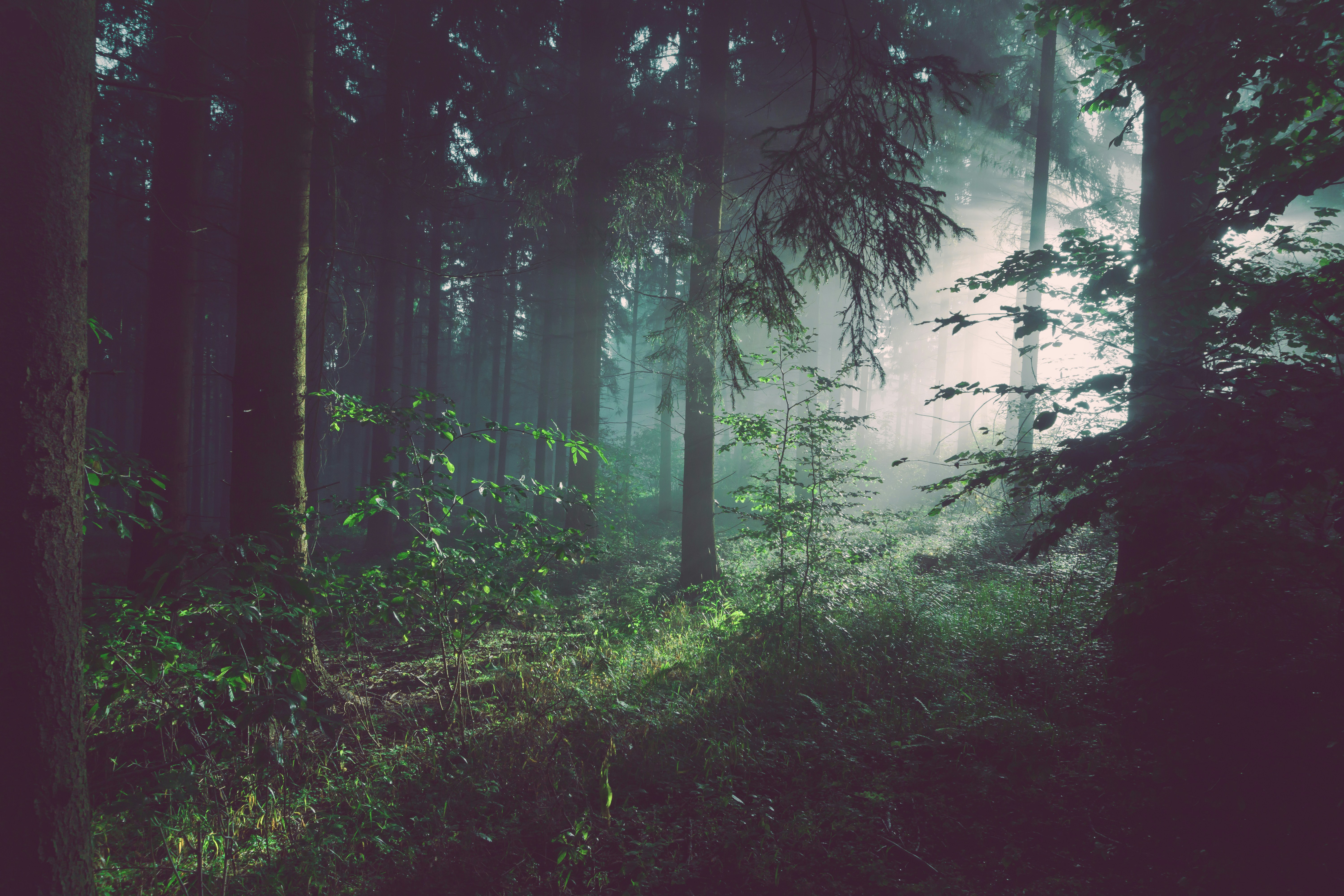 sebastian-unrau-sp-p7uuT0tw-unsplash_1728989414830779.jpg