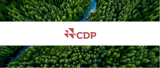 Carbon AI Agent Boosts Your Climate Disclosure Scores_1783044079743929.png