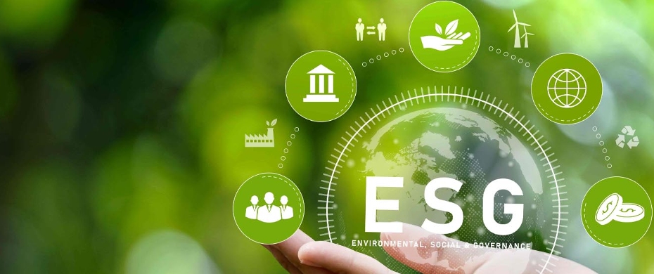 Draft Board-Ready ESG Reports in Hours with Carbon AI_1783042525141692.jpg