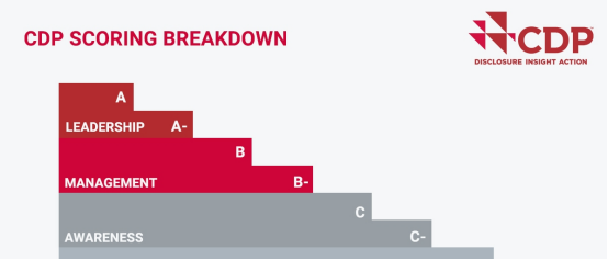 Why a CDP 'A List' Rating is Your Best Investor Magnet_178305088401574.png