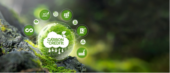 What to Look for in an Enterprise Carbon Management Platform